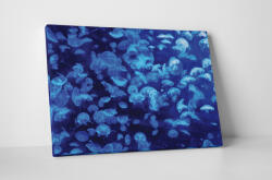 4 Decor Tablou canvas : Meduze albastre - beestick-deco - 69,00 RON