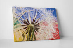 4 Decor Tablou canvas : Papadie colorata - beestick-deco - 69,00 RON