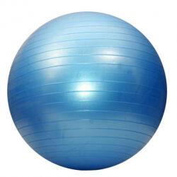 Dayu Fitness Minge de aerobic pentru sala 75cm albastru Minge fitness