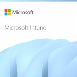 Microsoft Intune Plan 1 Storage Add-On Subscription (1 month) (CFQ7TTC0LCH4-0006_P1MP1M)