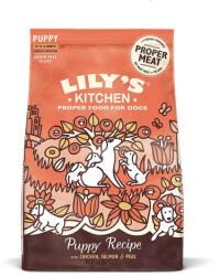 Lily's Kitchen Dog Chicken & Salmon Puppy Recipe Dry Food 1 kg