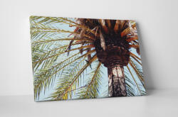 4 Decor Tablou canvas : Palmier - beestick-deco - 104,00 RON