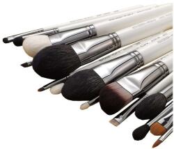 Eigshow Beauty Set pensule pentru machiaj, 15 buc - Eigshow Master Series Classic Brush Kit Light Gun Black 15 buc