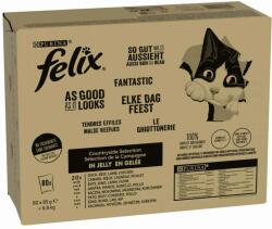 FELIX Felix Megapack "La fel de bun pe cât arată" Pliculețe 80 x 85 g - Amestec carne I (vită, pui, rață, miel)