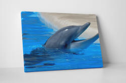 4 Decor Tablou canvas : Delfin - beestick-deco - 104,00 RON