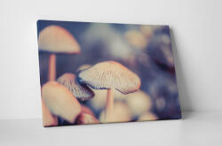 4 Decor Tablou canvas : Ciuperci delicioase - beestick-deco - 69,00 RON