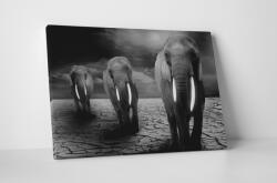 4 Decor Tablou canvas : Trei elefanti - beestick-deco - 104,00 RON