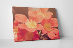 4 Decor Tablou canvas : Floricele - beestick-deco - 104,00 RON