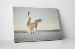 4 Decor Tablou canvas : Pescarus - beestick-deco - 174,00 RON
