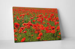 4 Decor Tablou canvas : Sute de maci - beestick-deco - 174,00 RON