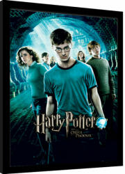 Pyramid Harry Potter (ORDER OF THE PHOENIX) keretezett poszter (EPPL71325)