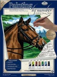 Royal & Langnickel Pictură pe numere Un cal (PCS8) Carte de colorat