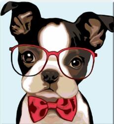 Zuty Pictură pe numere Bulldog Cu Ochelari (221160) Carte de colorat