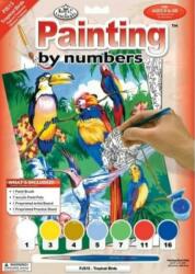 Royal & Langnickel Pictură pe numere Păsări tropicale (PJS15) Carte de colorat