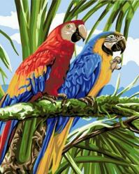 Gaira Pictură pe numere Papagali (M1264) Carte de colorat