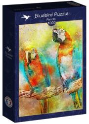Bluebird Puzzle 1000 db-os puzzle - Parrots (90136)