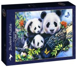 Bluebird Puzzle 1000 db-os puzzle - Panda Family (90154)