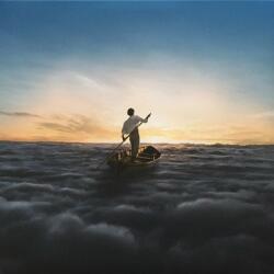 Pink Floyd - The Endless River (2 LP) (825646215478)