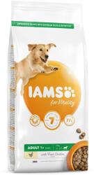 Iams For Vitality Hrana uscata cu pui pentru cainii adulti de talie mare 5kg