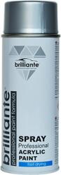 BRILLIANTE Vopsea Spray Aluminiu White (Ral 9006) 400 Ml Brilliante - uleideulei