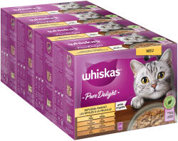 Whiskas Whiskas 96 plicuri x 85 g la preț special! - Adult 1+ Pure Delight Ragout de pasăre în gelatină