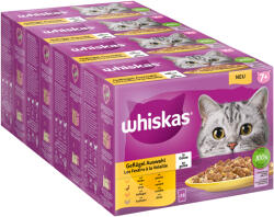 Whiskas Whiskas 96 plicuri x 85 g la preț special! - 7+ Selecție de pasăre în gelatină