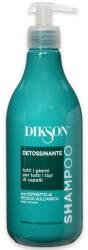 DIKSON Șampon detox - Dikson Dettosinante Detox Shampoo 500 ml