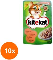 Kitekat Set 10 x Hrana Umeda pentru Pisici cu Somon Kitekat, Plic 100 g (FXE-10xEXF-TD-80879)