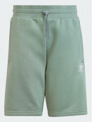 adidas Pantaloni scurți sport Adicolor Shorts IC3174 Verde Regular Fit