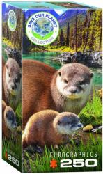 EUROGRAPHICS - Puzzle Save the Planet - Otters 250 - 250 piese