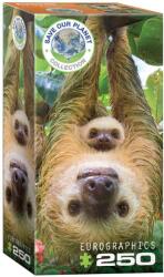 EUROGRAPHICS - Puzzle Save the Planet - Sloth 250 - 250 piese