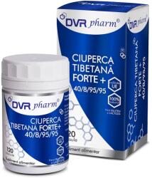 DVR Pharm Ciuperca Tibetana Forte+ 120 capsule DVR Pharm - nutriplantmed