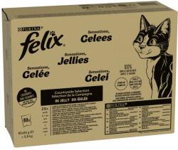 FELIX 80x85g Felix Sensations vidéki válogatás nedves macskatáp