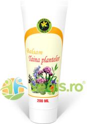 Hypericum Balsam Taina Plantelor 200ml