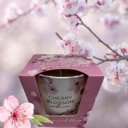  Cherry Blossom Illatgyertya 115g (PKLM_1)