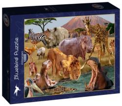 Bluebird Puzzle 1000 db-os puzzle - Kilimanjaro (90417) (90417)