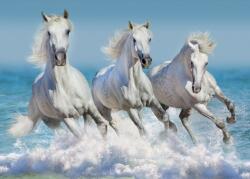 Bluebird Puzzle 90003 - Horse Paradise - 1500 db-os puzzle (90284)