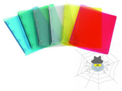 KARTON P+P Gyűrűskönyv A/4 PP 20mm 2 gyűrű átlátszó füst