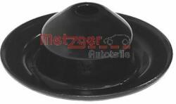 METZGER Saiba arc METZGER 6490280 - piesa-auto