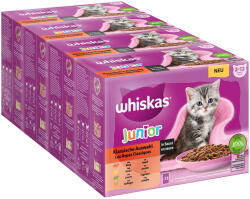 Whiskas 48x85g Whiskas Junior klasszikus válogatás szószban nedves macskatáp