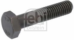 Febi Bilstein Surub clema, articulatie sarcina/ghidare FEBI BILSTEIN 03973 - piesa-auto