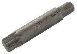BGS technic Bit 10 mm-es Spline-XZN M14 x 75 mm - BGS (9-4864)