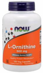 NOW L-Ornithine 500 mg kapszula 120 db
