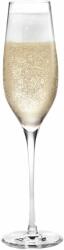 Holmegaard Pahar pentru șampanie CABERNET, set de 6 buc, 290 ml, Holmegaard