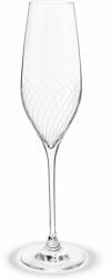 Holmegaard Pahar pentru șampanie CABERNET LINES, set de 2 buc, 290 ml, transparent, Holmegaard