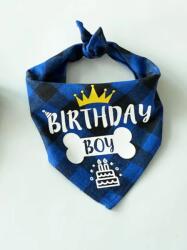  Birthday boy" születésnapi kutyakendő