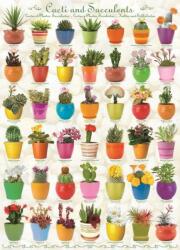 EUROGRAPHICS - Puzzle Cactus - 1 000 piese
