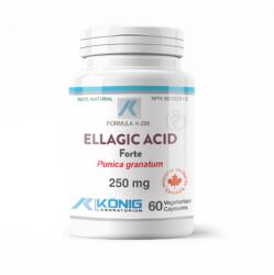Provita Nutrition Acid Ellagic (Pomegranate) 60 capsule Konig Laboratorium