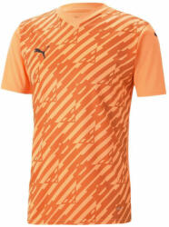 PUMA Bluza Puma teamULTIMATE Jersey Jr 705656-021 Marime 116 (705656-021)