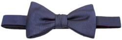 HUGO Papillon Bow Tie Dressy 10234850 01 50468400 405